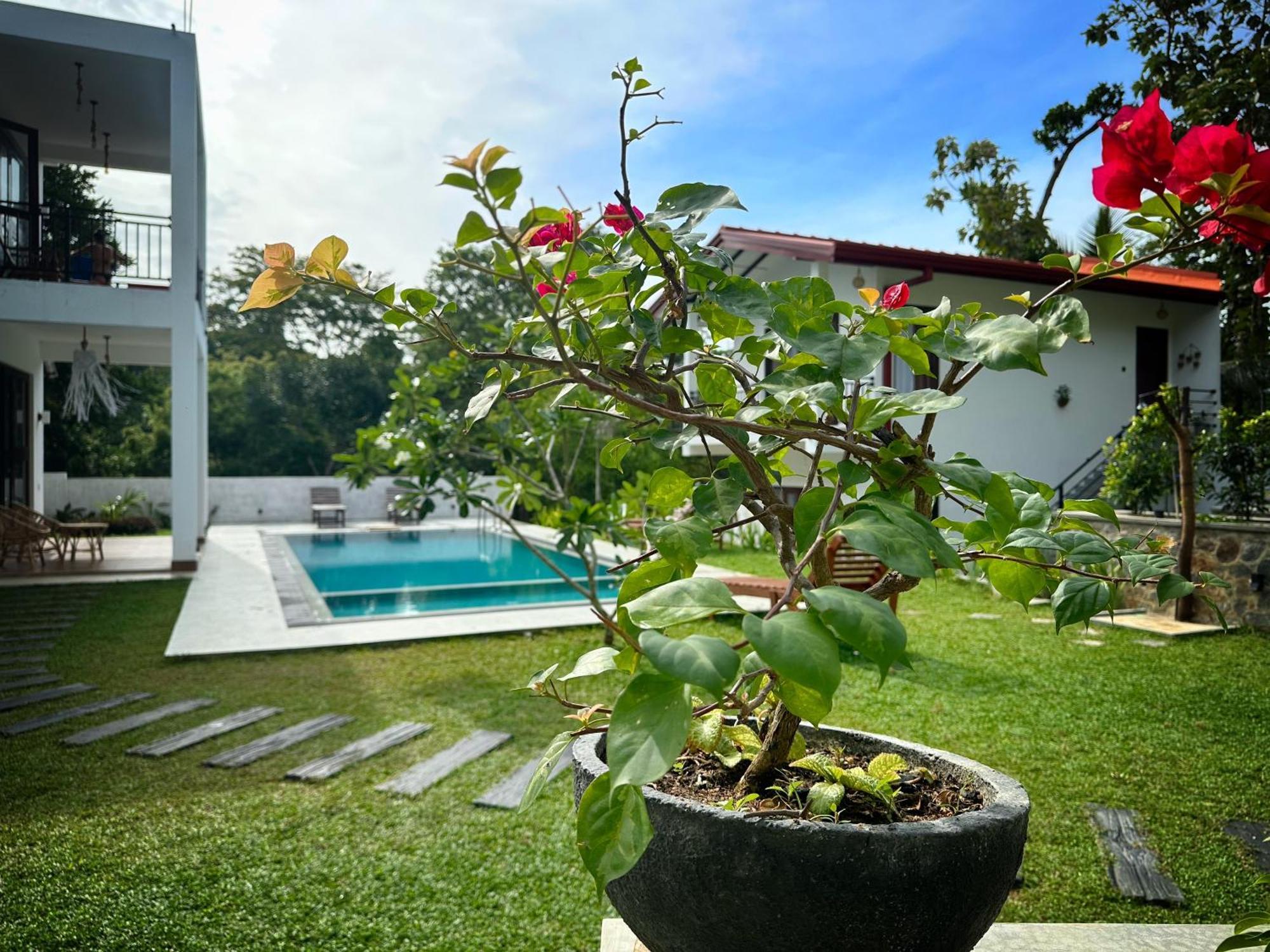 Finch Tangalle Exterior photo